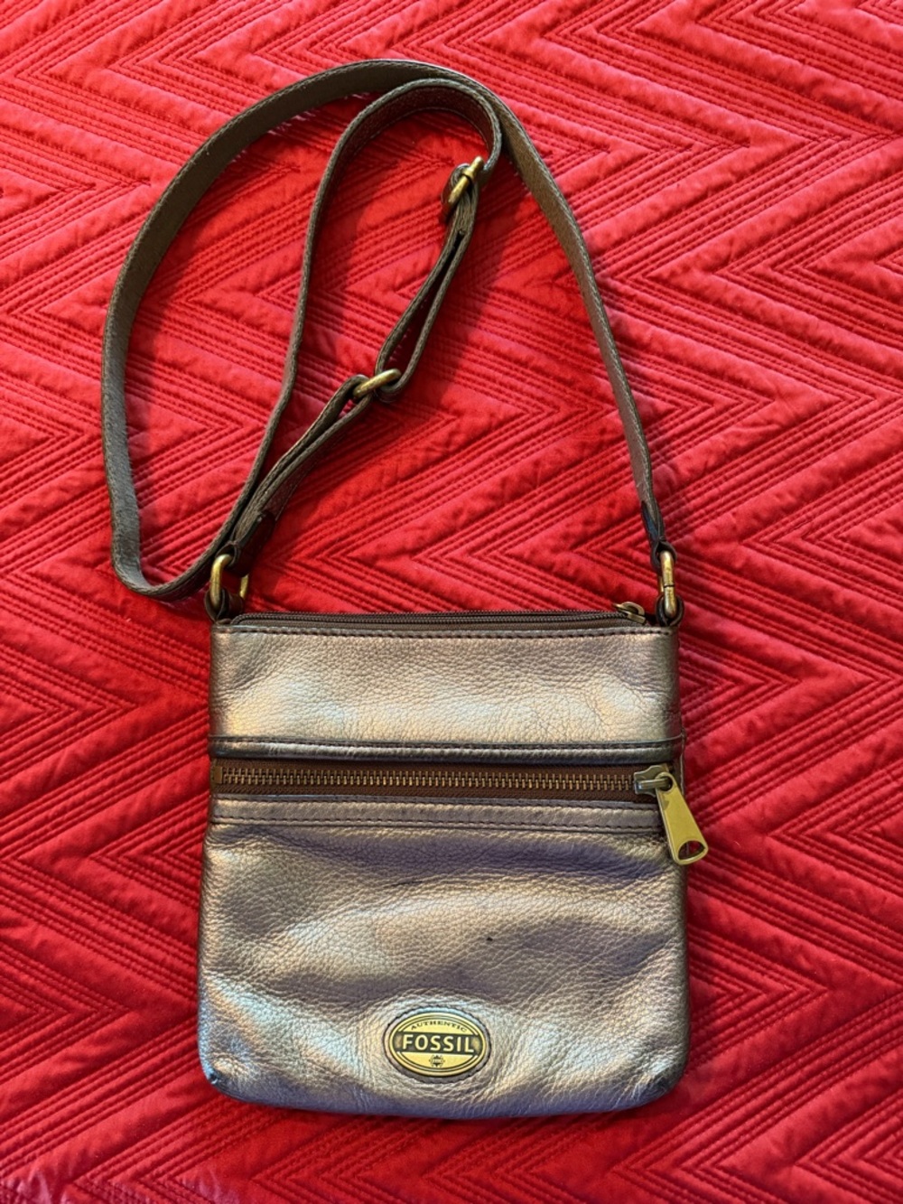 Fossil Metallic Pewter Crossbody Bag with Brass Accents